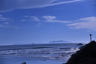 DSC_0867 (Large).JPG